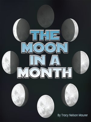 cover image of The Moon In A Month